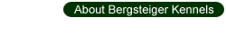About Bergsteiger Kennels